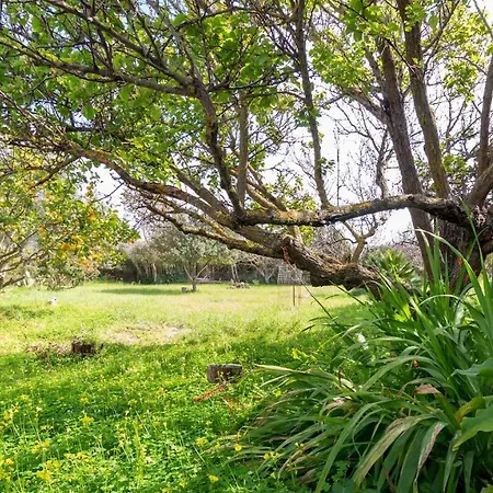 Appartamento Sardinianworld - Cornus Cuglieri