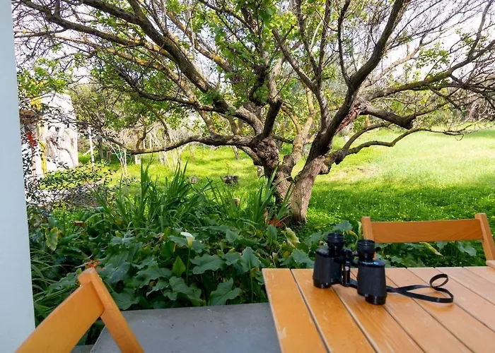 Apartman Cornus- Sea E Relax Cuglieri