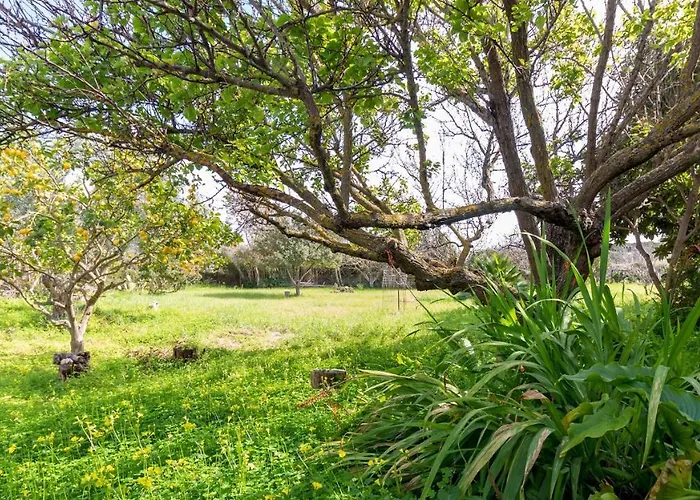 Apartman Cornus- Sea E Relax Cuglieri
